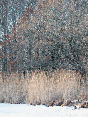 Stora Amundön, Göteborg