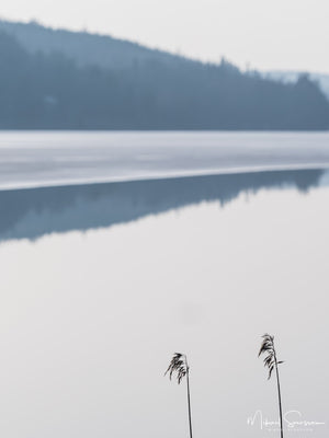 Västra Ingsjön, Marks kommun