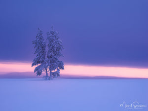 Grövelsjöfjällen, Dalarna