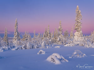 Lofsdalsfjällen, Härjedalen