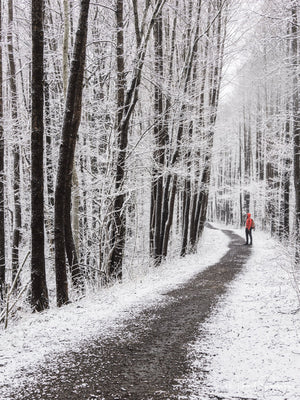 Rådasjöns naturreservat, Härryda kommun