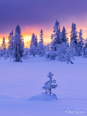 Lofsdalsfjällen, Härjedalen