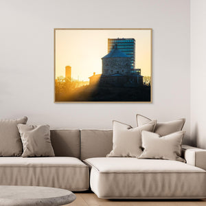 Lejonet i morgonljus - CANVAS