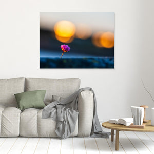 Blommande trift vid Lerkil – Kungsbacka kommun | Canvas