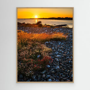 Sommarkväll vid Gamla Köpstad - CANVAS