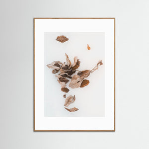 Härjedalen – Vinterlöv vid Sörvattnet | Fine Art Print