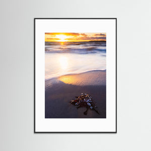 Solnedgång vid Stråvalla strand i Halland – hav och kust | Fine Art Print