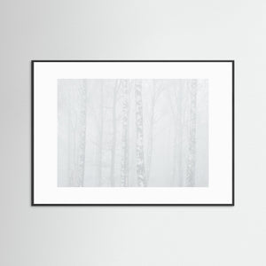 Dimma i björkskog vid Balltorp, Mölndal – vinterlandskap | Fine Art Print
