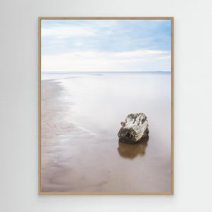 Trästock vid Vesslunda naturreservat - CANVAS