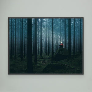 Ett ljus i Herkulesskogen - CANVAS