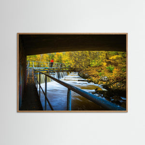 Höst vid Lärjeån i Göteborg – forsande vatten och höstfärger | Fine Art Print