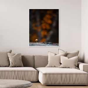 Skogens lilla väktare - CANVAS