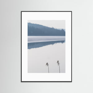 Minimalistiskt landskap vid Västra Ingsjön – Naturfoto | Fine Art Print