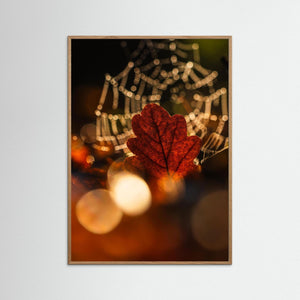 Ljus genom lövet – Rådasjöns Naturreservat | Fine Art Print