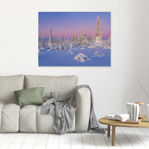 Vintermorgon i Lofsdalsfjällen – snöklädda fjällbjörkar | Canvas