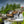 Innan regnet | Sputrefossen, Norge | Fine Art Print