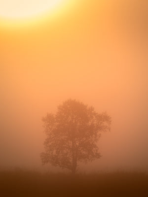 Ensam i morgondimman – Hemsedal, Norge | Canvas