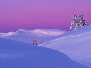 Rosa gryning över Grövelsjöfjällen