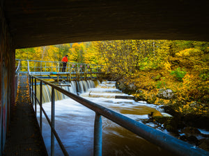 Höst vid Lärjeån i Göteborg – forsande vatten och höstfärger | Fine Art Print