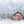 Rött båthus vid Ångardsvatnet – frostig morgon i Norge | Fine Art Print