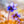 Blåsippor i vårsol Kallhed Hisingen Göteborg | Fine Art Print