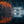Gyllene trädtoppar