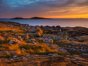 Sommarkväll vid Årnäsudden - CANVAS