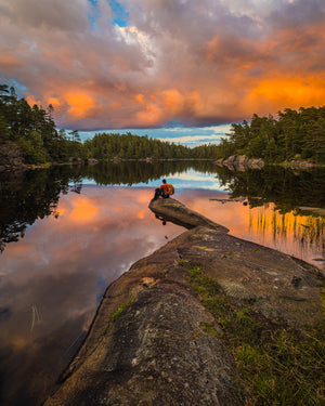 Kvällsljus över Svartedalen