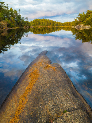 Stillhet i Svartedalen - CANVAS