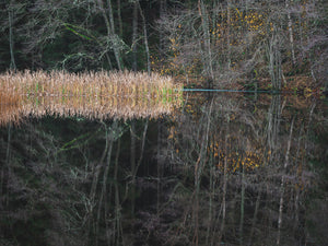 Novemberstillhet vid Kvarndammen