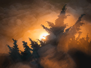 Kreativt naturfotografi från Stora Amundön – Canvas