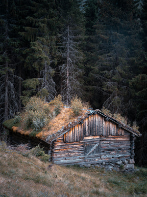 Vid skogens kant | Steget, Hemsedal | Canvas