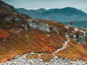 Liten i det stora - Hemsedal, Norge | Fine Art Print