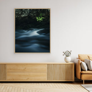Ormbunkar vid Mölndalsån – Kvarnberget, Risbohult naturreservat - CANVAS