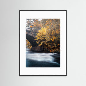 Höst vid Säveån – Lerums kommun | Fine Art Print