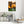 Vitsippa i aftonljus - CANVAS