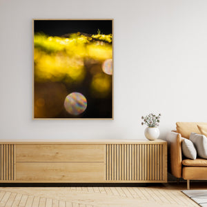Vårbokeh i Särö Västerskog – Särö, Kungsbacka kommun | Canvas