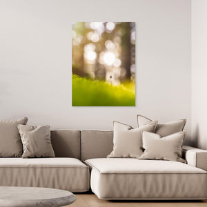 Liten i det stora - CANVAS