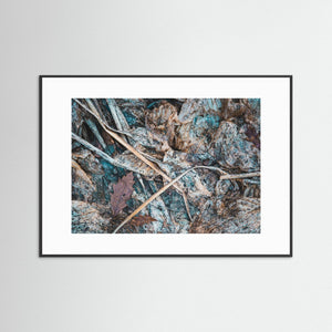 Göteborg – Naturens struktur vid Lilla Änggården | Fine Art Print