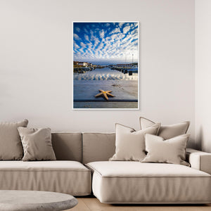 Sjöstjärna vid Fotö hamn – Göteborgs skärgård | CANVAS