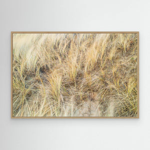 Vesslunda Naturreservat Falkenberg – Sanddynor & Gräs | Canvas