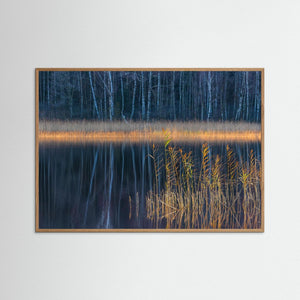 Vass i stillhet – Rådasjön, Härryda kommun | Fine Art Print