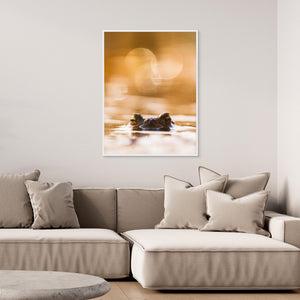 Groda i kvällsljus – Klare mosse, Hisingen | Canvas
