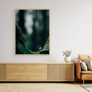 Svamp i mossig skog – Bråtaskogens naturreservat | Canvas