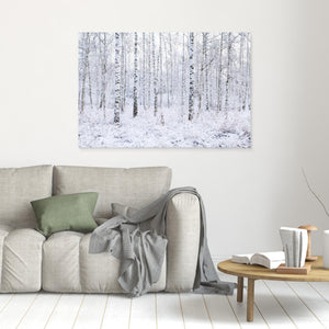 Nysnö i björkdungen - CANVAS