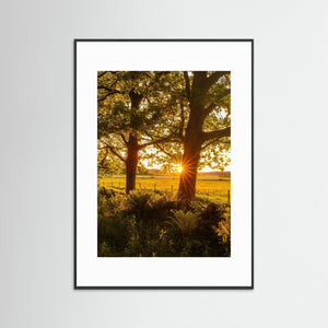 Solnedgång vid Hökälla naturreservat – Hisingen Göteborg | Fine Art Print