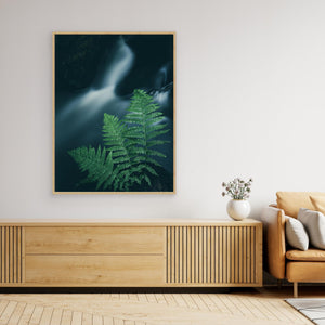 Ormbunkar vid skogsbäck – Bråtaskogen, Mölnlycke | Canvas