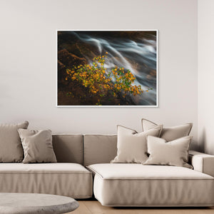 Höst vid Livsäterån - CANVAS