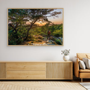 Solnedgång vid Ranebo naturskog – Svartedalen, Bohuslän | Canvas
