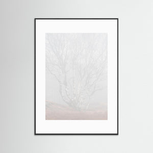 Dimma i Änggårdsbergen – Naturfoto från Göteborg | Fine Art Print
